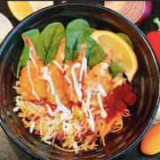 Rice Bowl/Salad Bowl